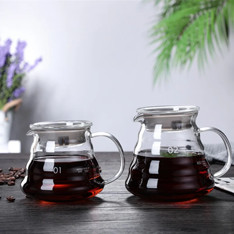 350/600/800ml Hand Brew Coffee - Quality Coffee Equipment recensione e prezzo