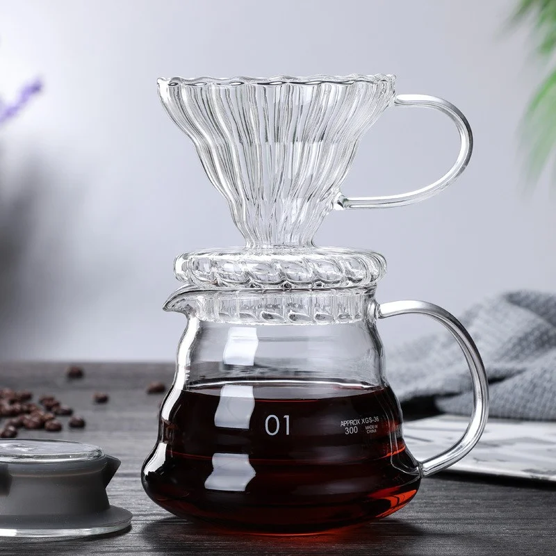 350/600/800ml Hand Brew Coffee - Quality Coffee Equipment recensione e prezzo